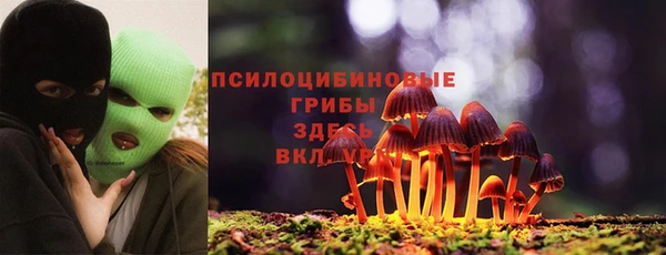 героин Няндома