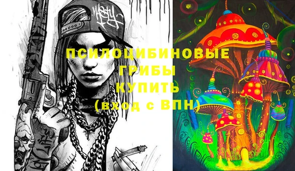 PSILOCYBIN Нязепетровск