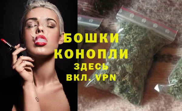 PSILOCYBIN Нязепетровск