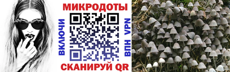 MEGA рабочий сайт  сколько стоит  Муравленко  Псилоцибиновые грибы Cubensis 