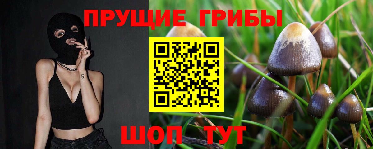 Галлюциногенные грибы Magic Shrooms  Вход с VPN  Муравленко 